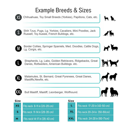 Safe Paws Friendship Bracelet